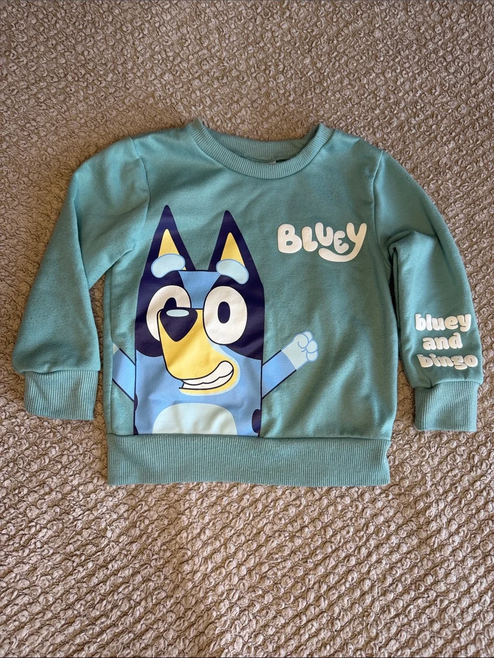Bluey official themed